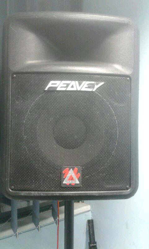 peavey impulse 200 speakers